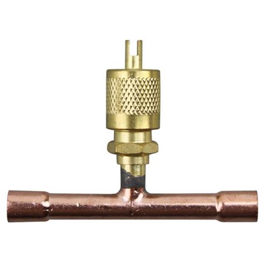 Picture of Access Valve