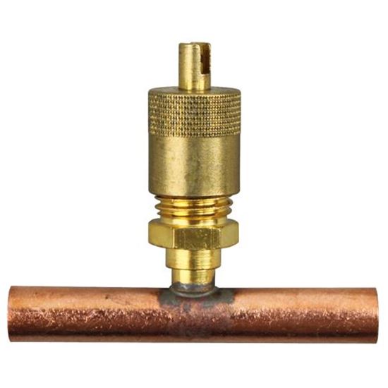 Picture of Access Valve