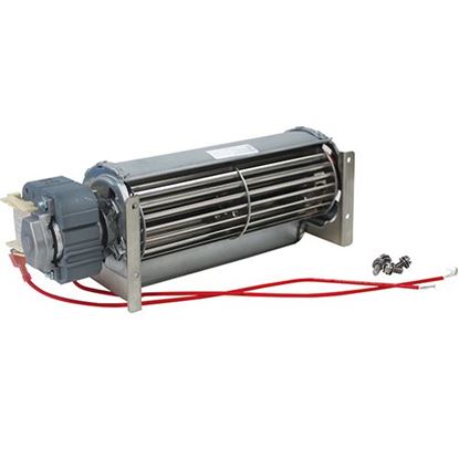 Picture of  Blower Kit - 120v for Roundup Part# 400K123