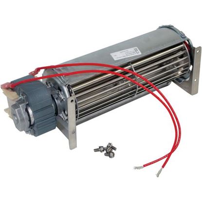 Picture of  Blower Kit - 240v for Roundup Part# 400K116