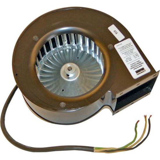 Picture of  Blower Motor 120 V With