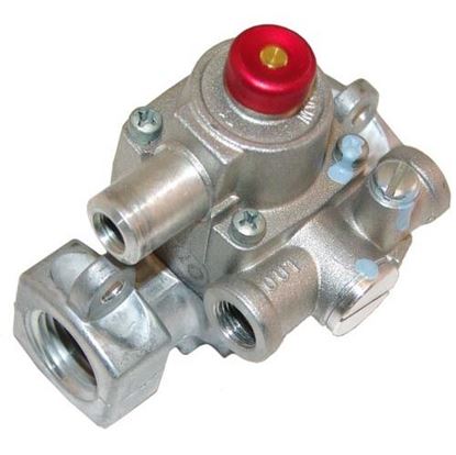 Picture of Body & Magnet Head Assy for Franklin Chef Part# 149452