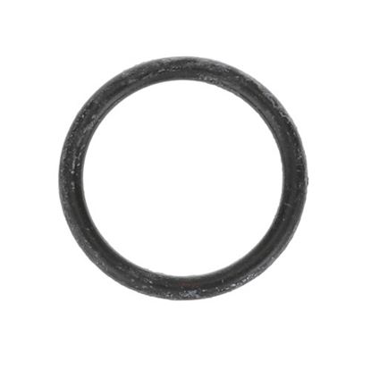 Picture of O-ring Spout Fis for Fisher Mfg Part# 1600-5000