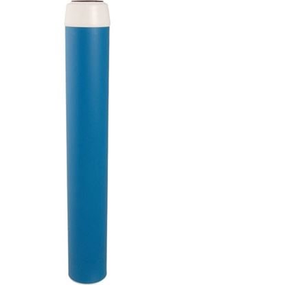 Picture of Cartridge,cgt-20 for Everpure Part# CGT20
