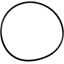 Picture of O-ring,housing for Everpure Part# 151122