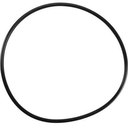 Picture of O-ring,housing for Everpure Part# DEV3093-50