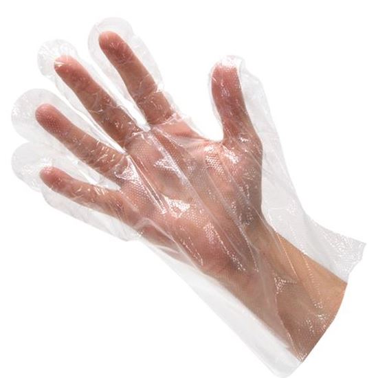 Picture of  Glove,disposable (100)