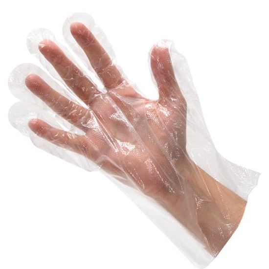 Picture of Glove,disposable (100)
