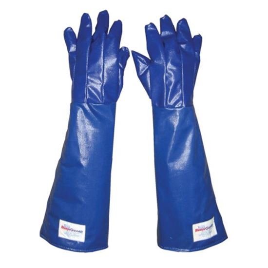 Picture of Glove