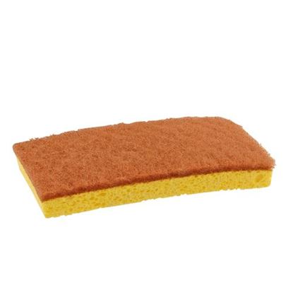 Picture of  Sponge,scrubbing