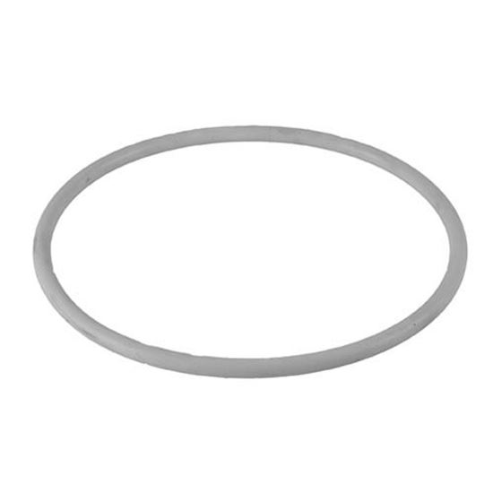 Picture of  Gasket - Small Cam for Cambro Part# 12101