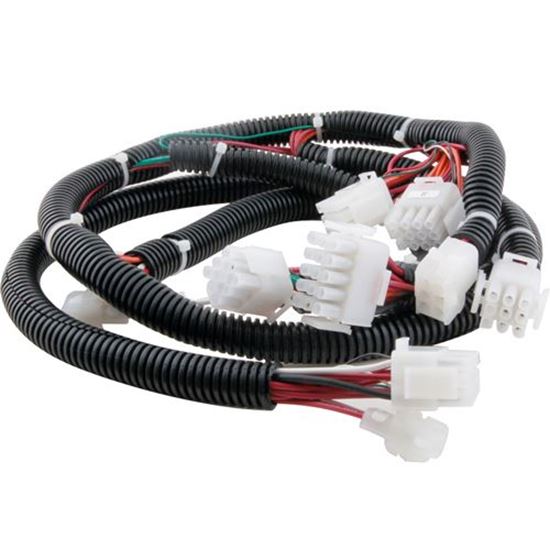 Picture of  Harness,wire (ce) for Frymaster Part# 8072285