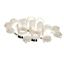 Picture of Store Kit (complete) for Curtis Part# WC-37394