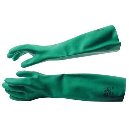 Picture of  Glove Nitrile 18" Large