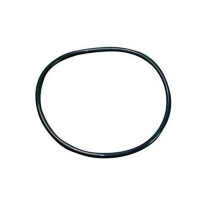 Picture of  O-ring (steamer Gasket) for Roundup Part# 0200187