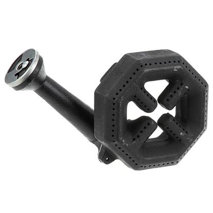 Picture of Burner Assembly, Front