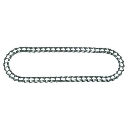 Picture of  Drive Chain for Savory Part# 12412