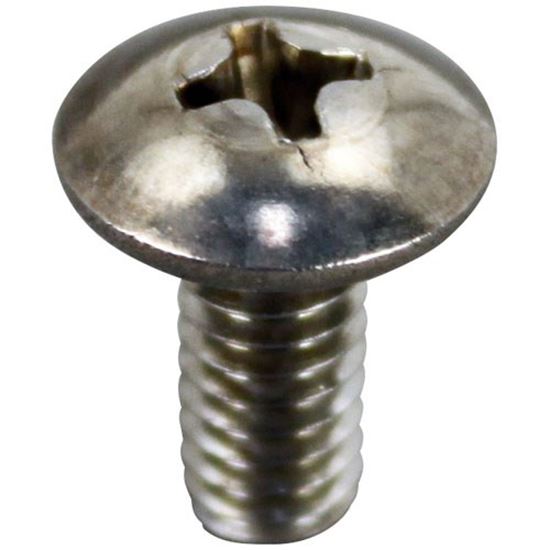 Picture of Hinge Pin Screw for Delfield Part# SEP90141