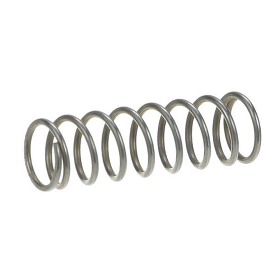 Picture of Spring for Jet Spray Part# S4363
