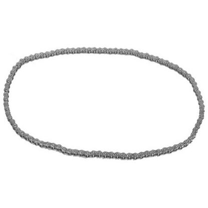 Picture of Conv Drive Chain for Champion Part# 501899