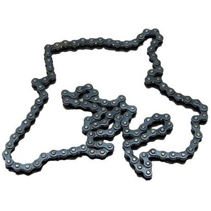 Drive Chain for Roundup Part# 2150187