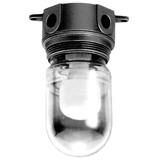 Picture of  Light Fixture - Lexan