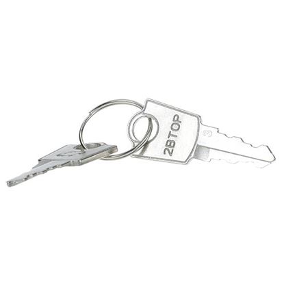 Picture of Keys (pair) for Turbo Air Part# 3000000000