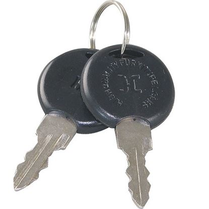 Picture of Keys (pair) for Turbo Air Part# P998200100