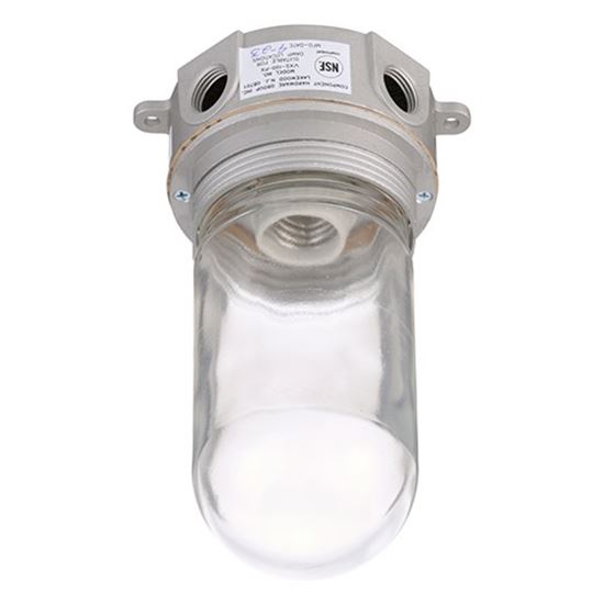 Picture of Vapor Proof Light-surfac for CHG (Component Hardware Group) Part# VXS100PX