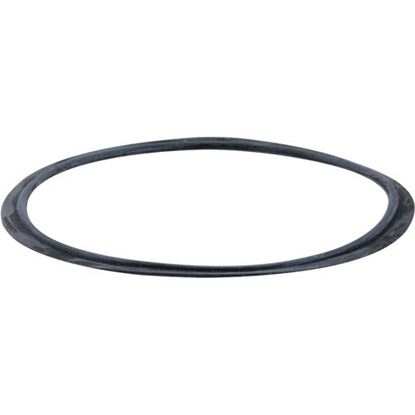 Picture of Seal,door for Taylor Freezer Part# 16672