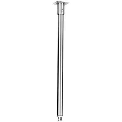 Picture of Leg