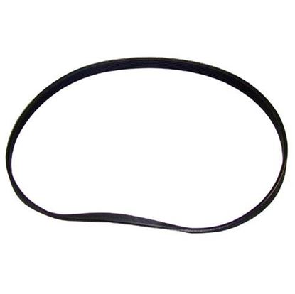Picture of  Poly-rib Belt for Univex Part# 7512155