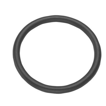 Picture of  O-ring for CHG (Component Hardware Group) Part# D10-X021