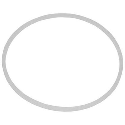Picture of Gasket for Bunn Part# 04844.0000