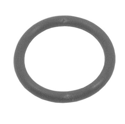 Picture of  O-ring for Champion Part# 111532