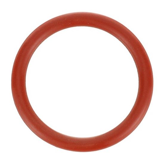 Picture of O-ring for Champion Part# 111532