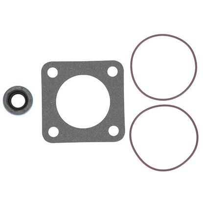 Picture of Motor Pump Kit for Frymaster Part# 80711973