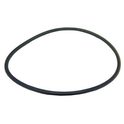Picture of  Pump Gasket for Henny Penny Part# 17453