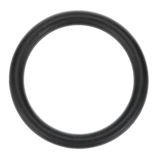 Picture of O-ring for Champion Part# 111505