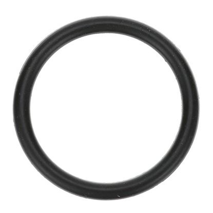 Picture of O-ring for Electro Freeze Part# 159295