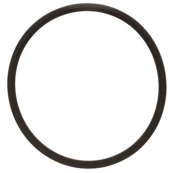 Picture of O-ring for Roundup Part# 0200121