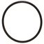 Picture of O-ring for Roundup Part# 0200121