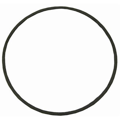 Picture of  Gasket For Gould Pump for Stero Part# A57-3287
