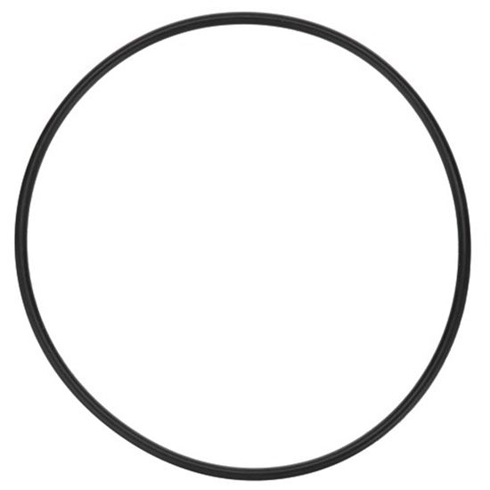 Picture of Pump Gasket for Jackson Part# 53300028183