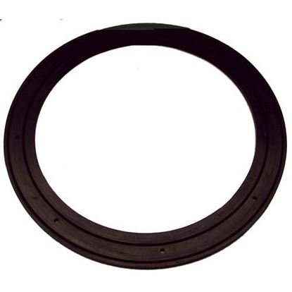 Picture of  Gasket for Champion Part# 0501881