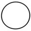 Picture of O-ring for Everpure Part# 3071-19