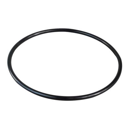Picture of  O-ring for Everpure Part# 311240