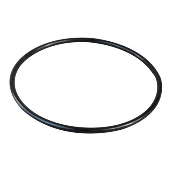 Picture of O-ring for Everpure Part# 311240