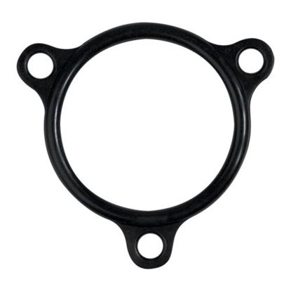 Picture of  Heater Flange Seal for Champion Part# 109985
