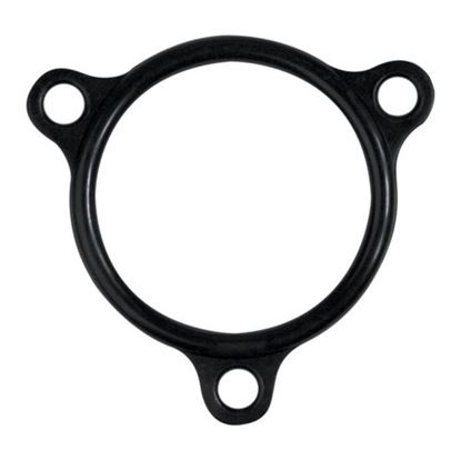 Picture of  Heater Flange Seal for Champion Part# 109985